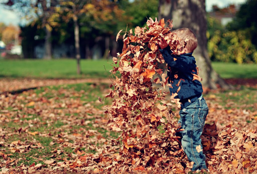 So what are the 5 things we love about Bonfire Night?